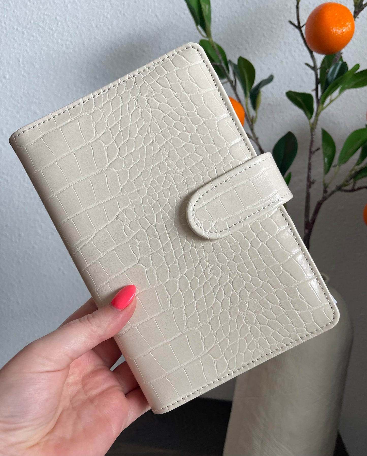 Budget Binder A6 Croco | Cremé